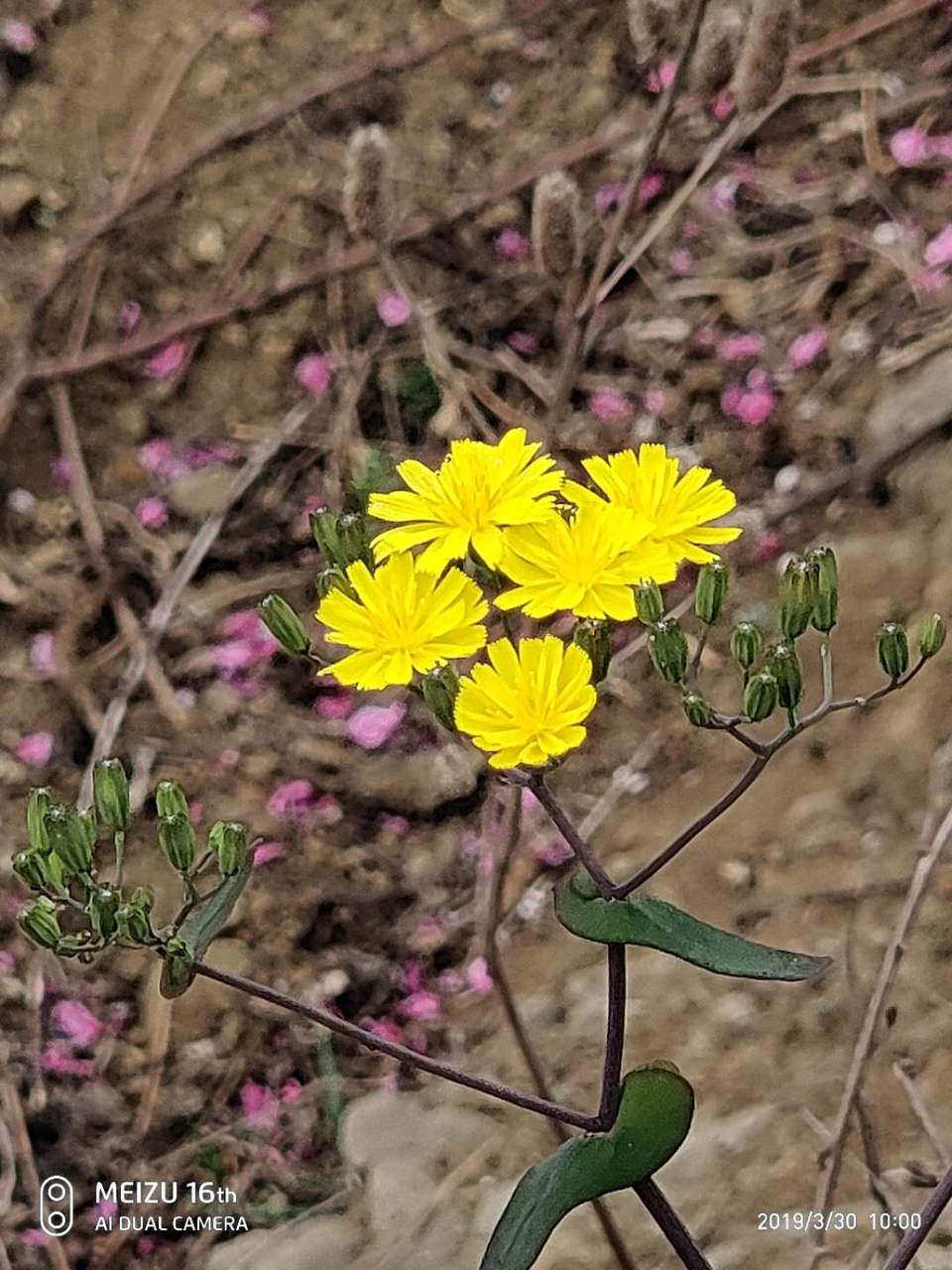 QKeLWgqkYG-OI7wBc8MY34ygdVniWPKIPaSXqn9Zav9y4F_WmelnJaAa9rQ41iIF