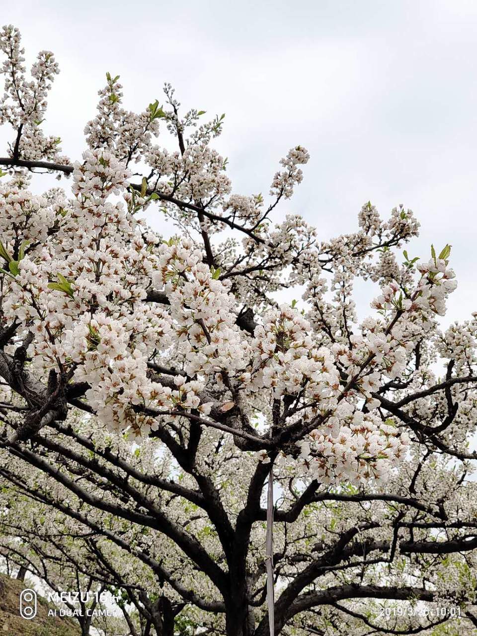 myDfyfyiCBvq5NCDbsNxOTqVg1MuIOZCIPNosqMyBzl15hbCl16JE2CW8qwQn9Ai