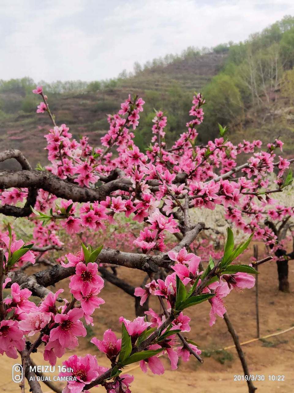 krYEcxGV2zq-wLU7NGhkLgfsC1uZKjyYCisgcNg3yuLSl-DLCh-cLdf9YB59sD4Z