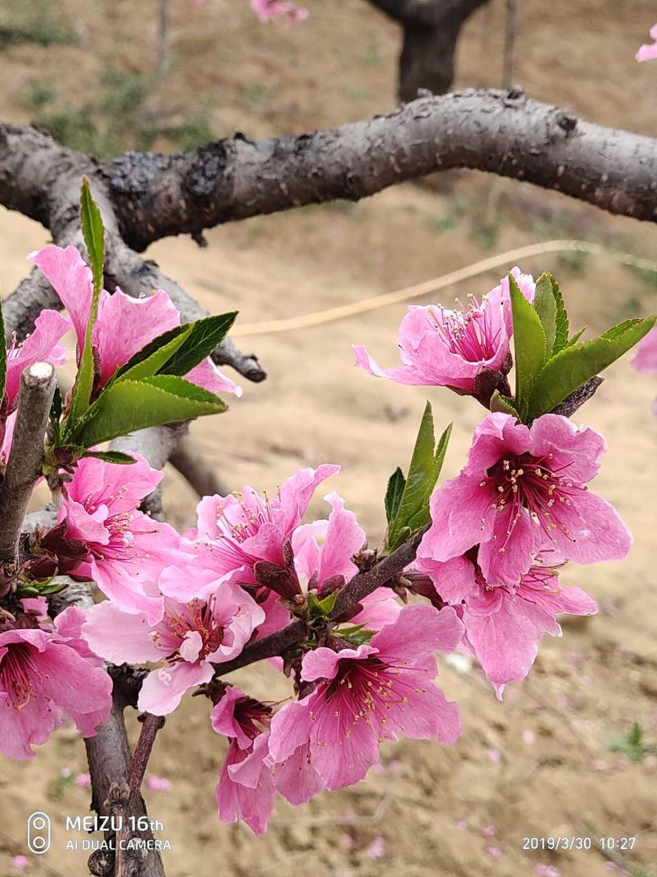 La3Ujc5oB2yXH2Eygb8oENNIwai3zCUqRUMi8fIES3SdUE8FAflVk7mZCtbBgDJY