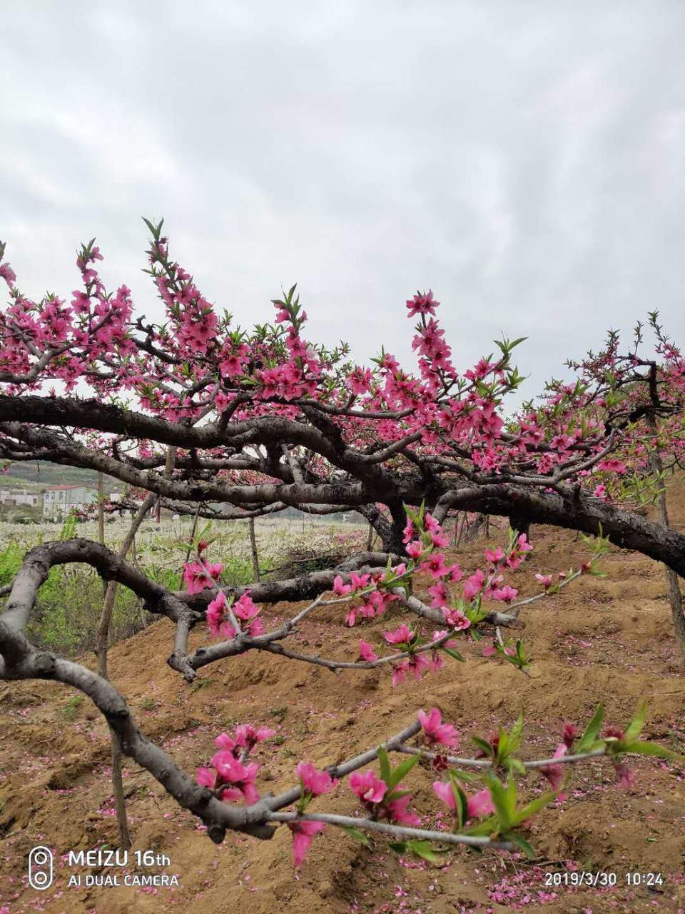 q2gU1tOQDmqgRRCH_6Gmz9Khwrs5XMxLagSafqIMA6jyUmRox_po0v7hS1nyGWrQ