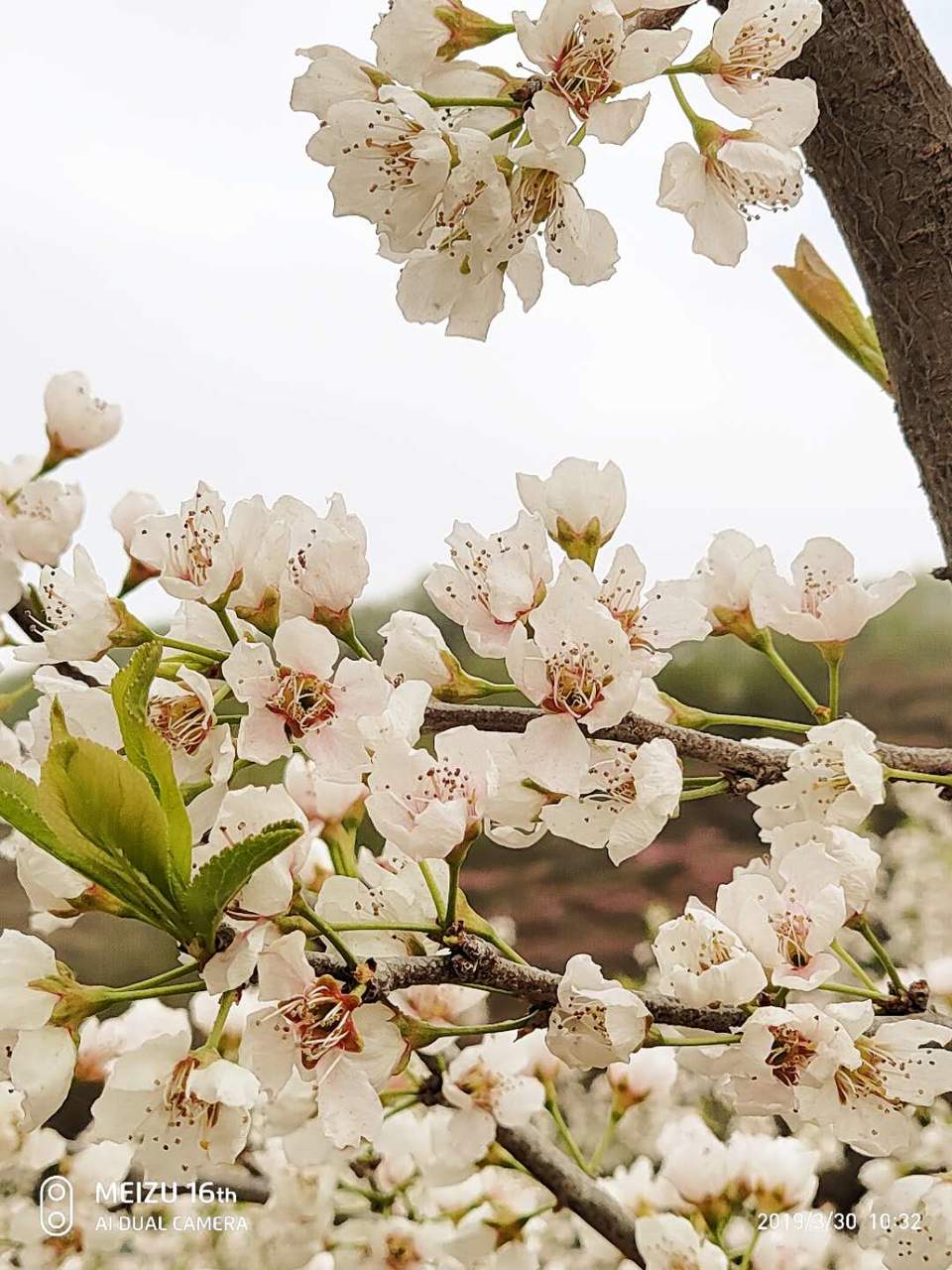 2bpJ53TOvNZhLzUM5iAGXPlmNkEPIlnXG03wDV4KFFvOg-qv7h-iRRajGT3jPNvg