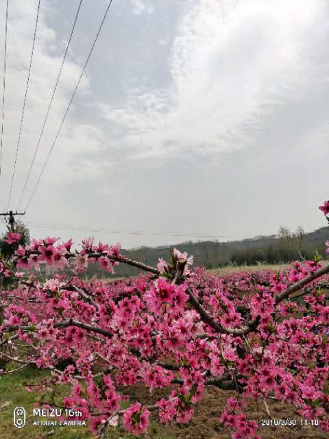 5LccLVdnidpoVve4HQlTLPZmgM63RZn290Z45QNN4YdqiR5hxMZTMxYiSHa-NsRs