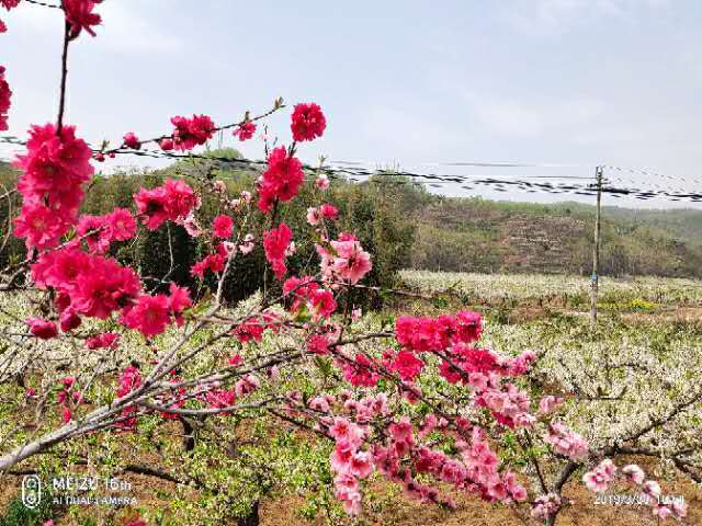 8NZ1kJ1EkdZIAmbLfnLlK8b4z1sKq8GWyhBzAT9iU1rs7D1_9S2Q7LqRqu6iP-oU