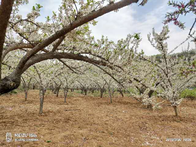 5iPsHv3Pdm_Us7lVfanSGO-zQC9ion2aZC1Rv1dL-kky_VAajm3d9zHGxsJN0r8r