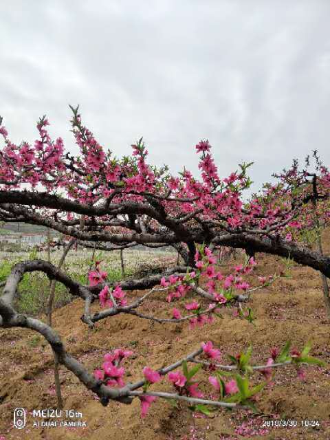 tqHwwulBpDzOe8XKjKAHhPGzNC4Leis1MWE_-IA7aWqz6I7GSYP1RkdTWPI_Dd67