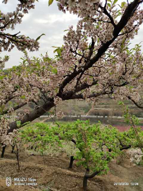 FNg81jfJPpWL_IuBNdF5AuN3BMJ7PLWNX2K6yMrvkQ3OvowkaY9WJP-Q0YrhgWk0