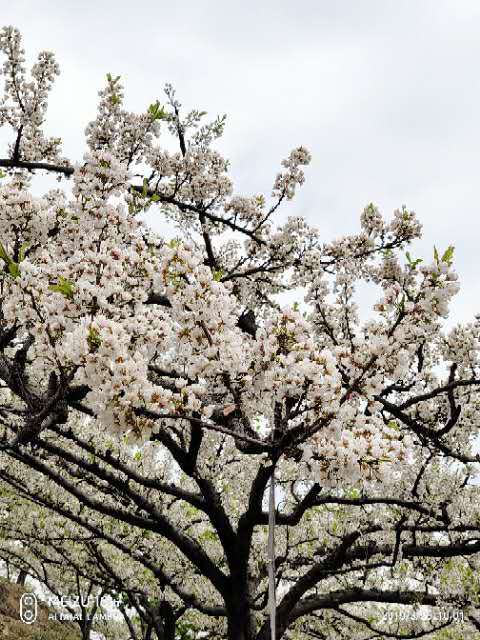 GuBHcfqXSSieU_yiYqp0JQPHjSnkKQSaQJKVWO4H8YE4FYMCQ9WA2PyqfsPkFn-U