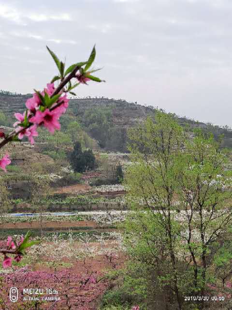 i-7cEQ-5s9A1G6AOHtVHcNQrw4FtvzDzLFQdRKXXWpSgGvcPEneIq1A8aeNUQbdx