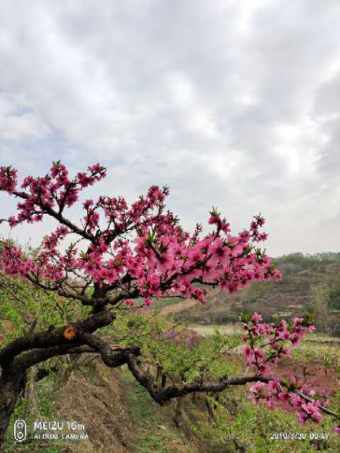 od-F1-2ZxAIDkKNr2Gci3hYXvZ3Ff77XUHBPKw4mAslJyo_apaapxSVXeLFtdXoK