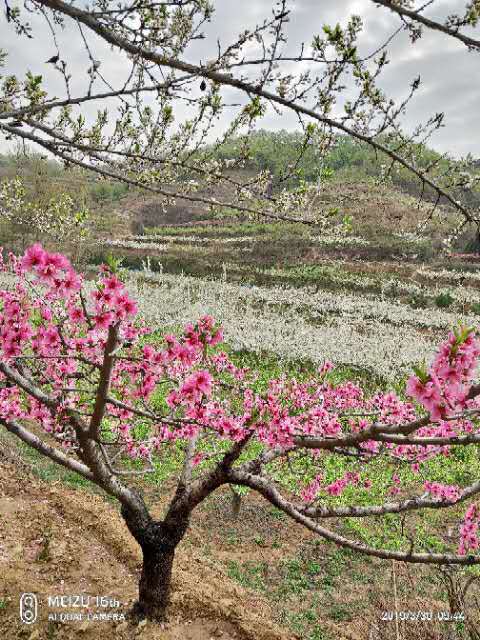 Eo0SFq7BVrw5s1gm_myNhSENc_r4OAqy61i5C--FG6d9PNlBQuo15FF7j68AbB3o