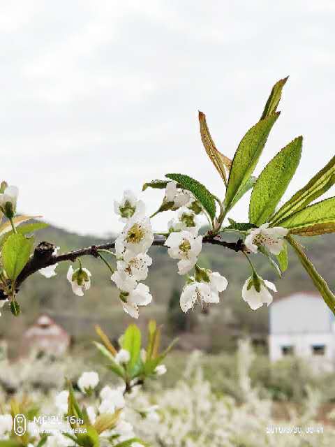 QTkpJBF_3axglAHRFTbdAdI812-T4Afksg0QHBHBMmPerA5jCPTq0ZxXDfPKZ4uq