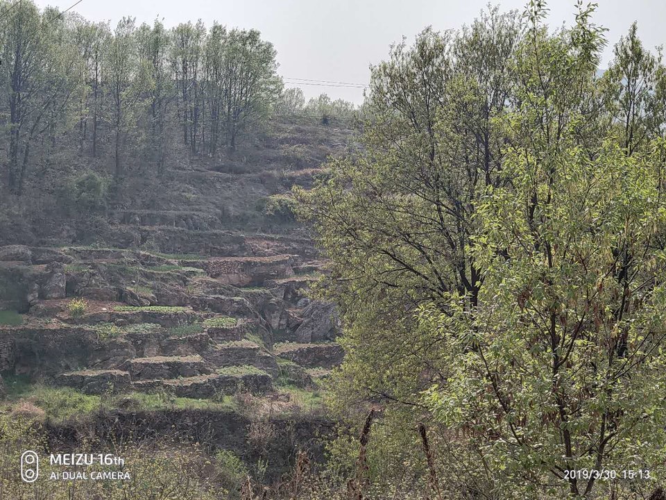 ibVmf_kc4mF6lnX1nxvbXvqFFG4aLK996qcvPKSKBRo752OZY61Nqsf83vOmRFth