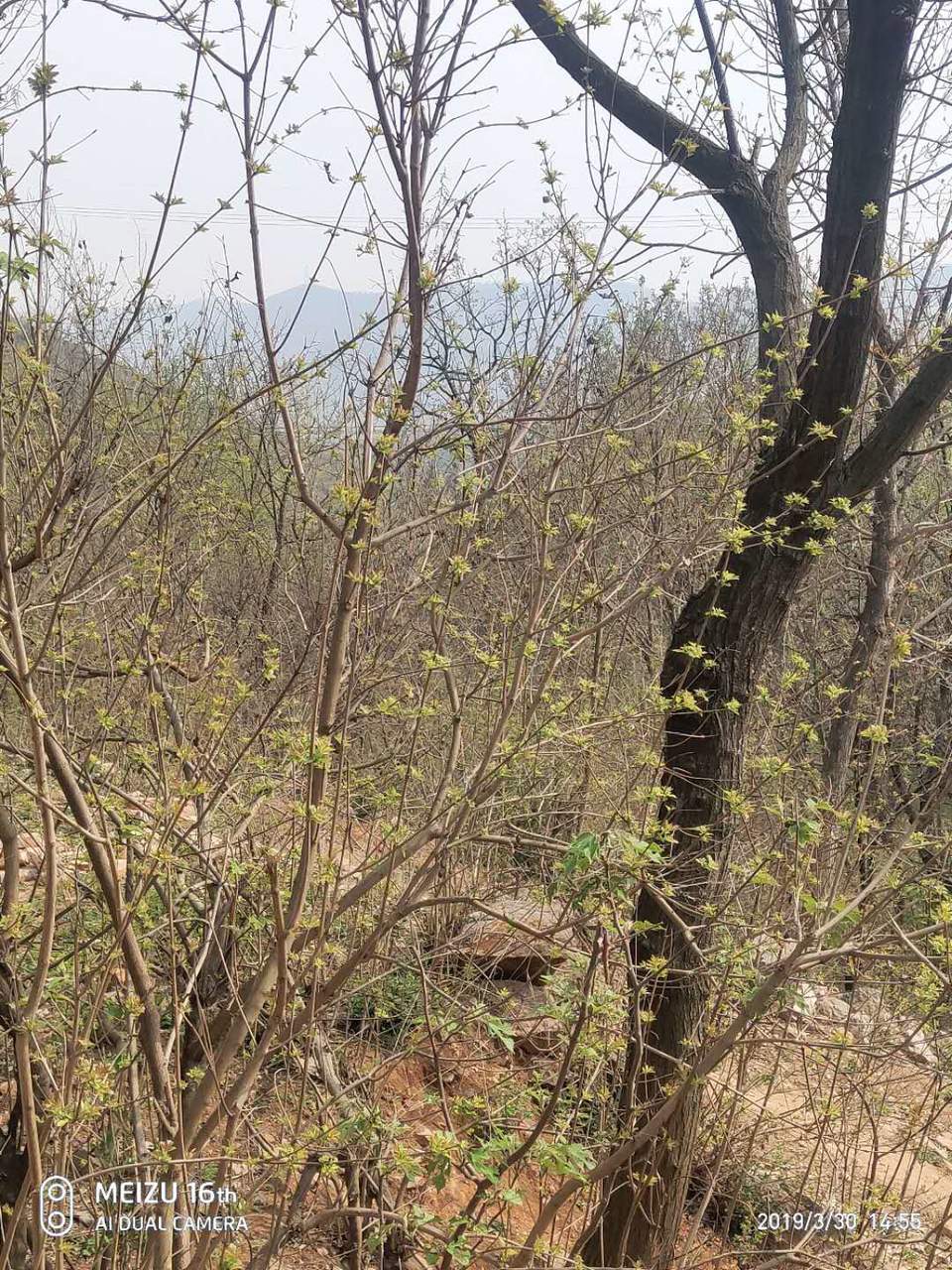 ig3PCzo044FwQaMOXjO0ZVzziLfx6BeuhE_ci0TA0rKEWlCg6Ryy6-QZxoRvjyvn