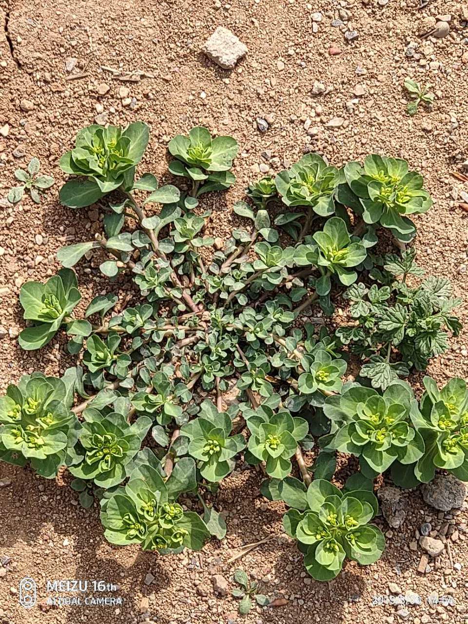 S-_uSDC8-wAtC4T68FkvaQKZkOZSf6i_L2mSyWUHsd0X_UvskAHtovOrNKWrGtVr