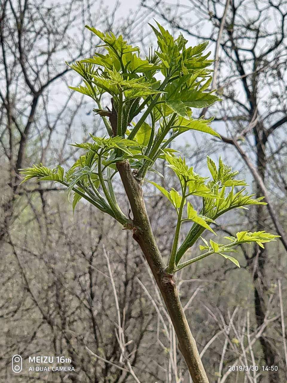 cnAJjnTbFRriYx3e3TCcrqYp4mtSszYqBnIEJpbgDgPOcG8OaNpQAr67LPVZzMLw