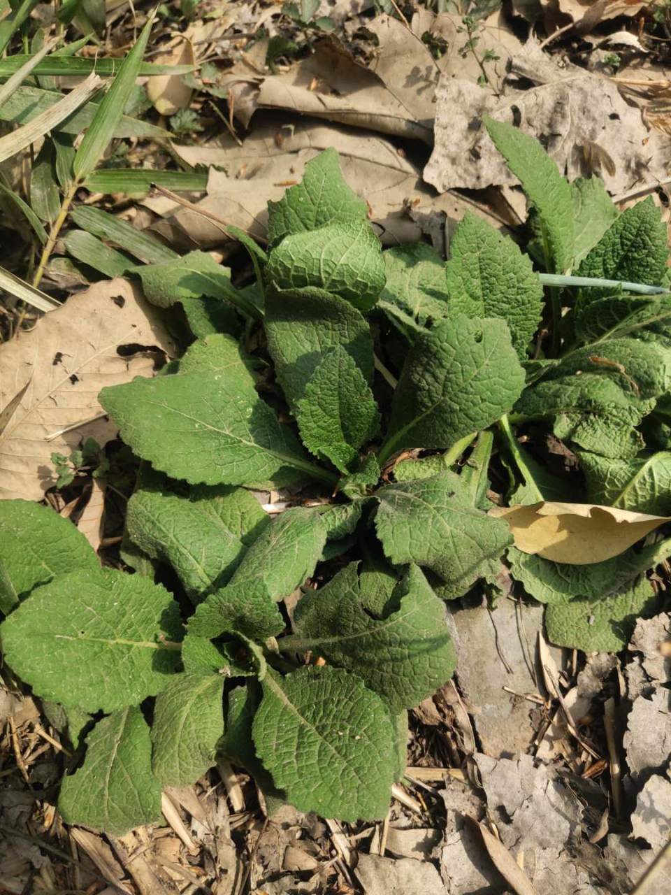 UcqOp9hvRv1Wa8sH1AUMc_jUgAmQTh9TX44vEF9yX3jDZBgk6DYft9SnJT_sl2IJ