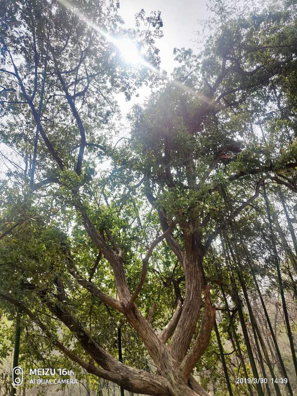 UQvIiuhIFFcT9GoMDLB0JZQRwKaH_3MKS-ZdrneUFdsiyXSu15BgB-tfHqo-9JXA