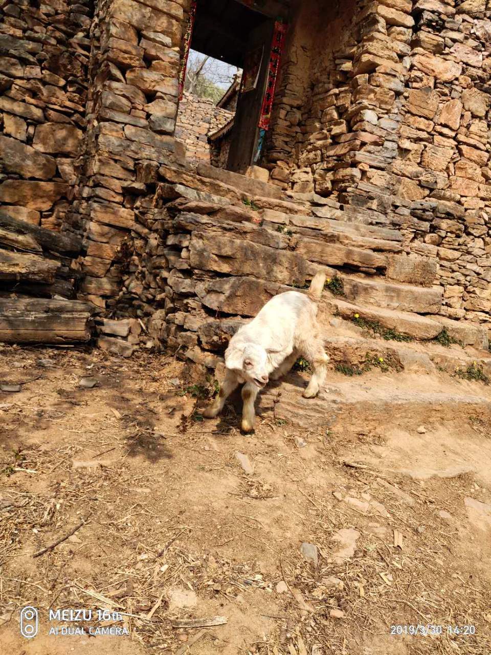 vlShpHfrfmxaACGa6i6iChVfLFAejVEV-1Va-GsL6fJA96SA1W6XI4Q0wlwd_9j7