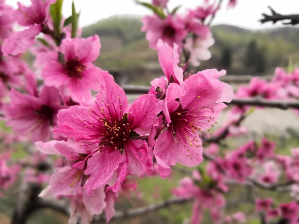 6Asjr4-YVUH09iPTbMbmpwC-aEKpecCYFk_nhsI_owGS0lw5odITTLsRYw8_-ibZ