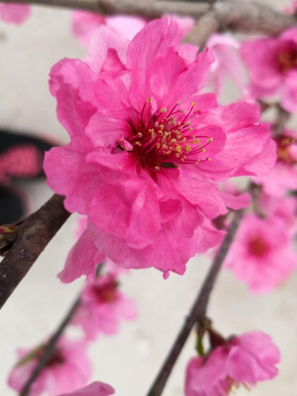 6uxWqkOFefT1Xk87NY5KH5hKeQXQddHjIUMqOseckZj1QZwXDq8tRkHbMUYPLSD0