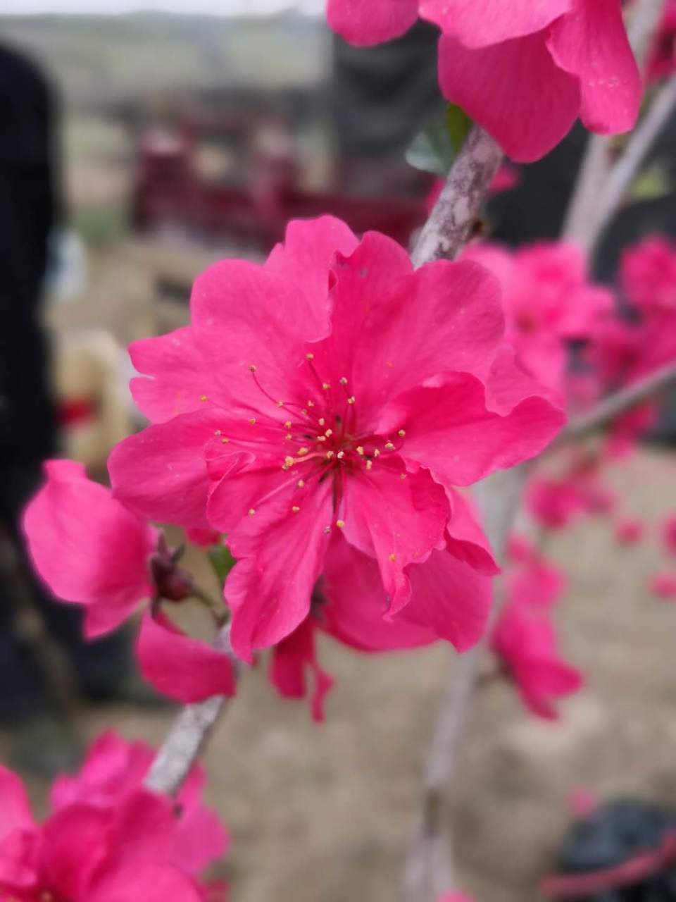 OJPllxP2yCwtMgdLm0MsRvnRaOcTuvSfRQ-0CHdpIBcQ7-8-5RXULxfZBcTH4ft8