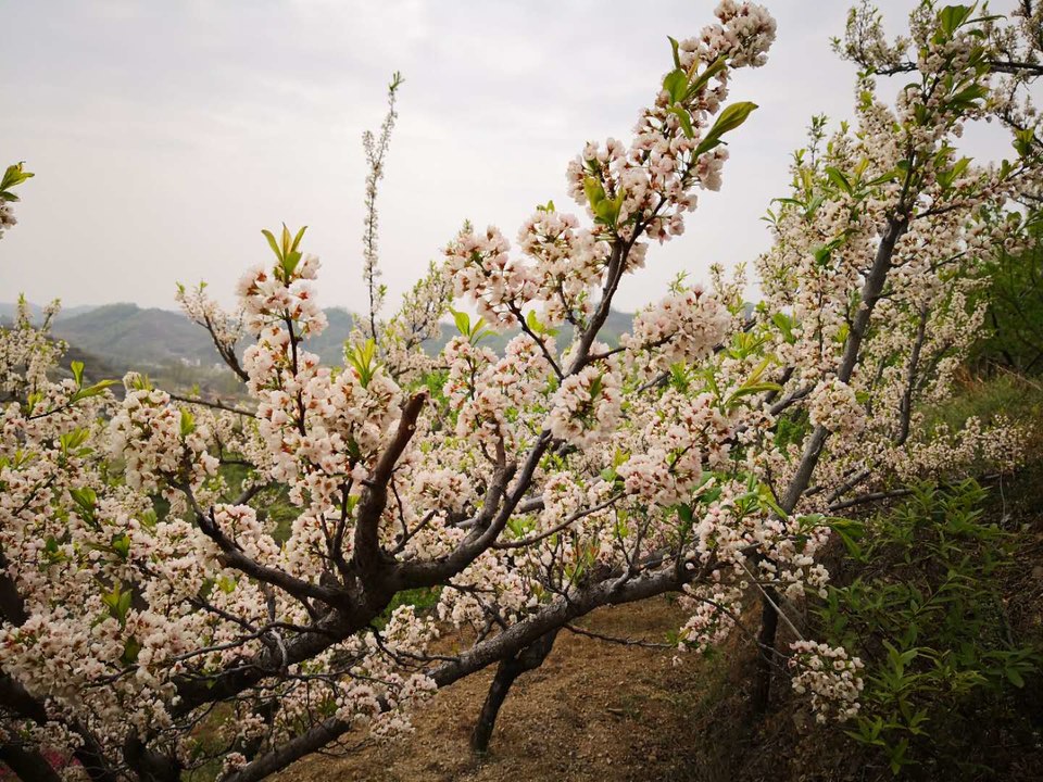 ccWPm0d4nEoyqS01np-s0A0NncDevX15wkHk0Iu5N2MWE2Y9ZxND0_0jFc9R5AXz