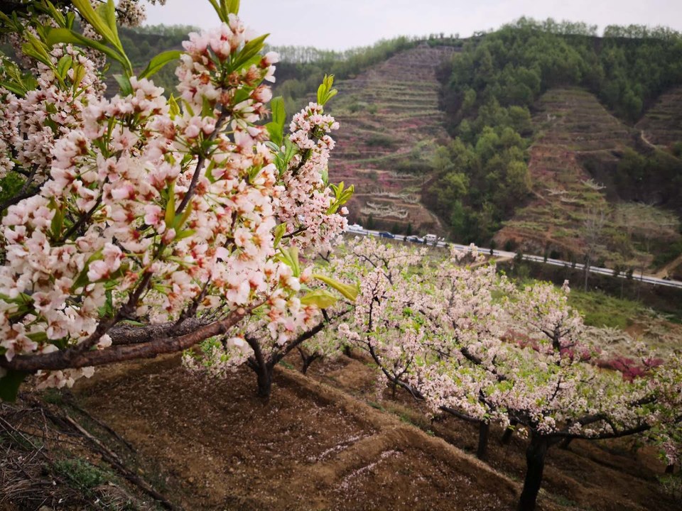 Zi031dDzUbCaUY2O9ymhW3dq6XTnrb4j35e1tkReeSXhJNQFU68HewZ1m1gD3iCo