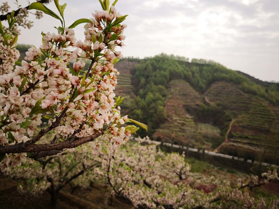 y7ZmWOcLlzmxgcm3QwNqdag-ueHeCOL2KEgUKMPIXROlr46yBHxTGKJzUzuQCMsJ