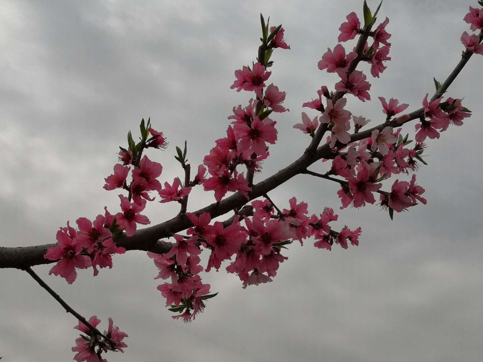 BYYwUtbm7zJ-6nbpBKysBblMmTL6_DU4tIZd_j34u2fDB9XYZn8Sg65LQw2uwm9A