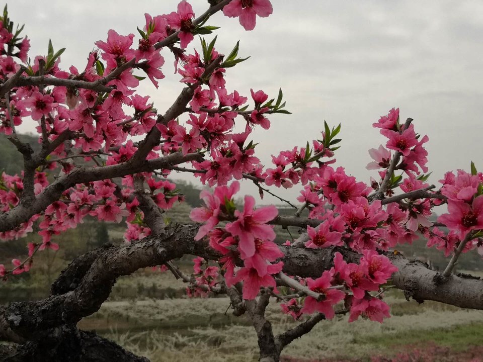 GxTBOe6NdIfosFxcvs8VhTlGnko8We4ApodQdYzFgGfeGRFCOJPw0_v8lxSaGxdC