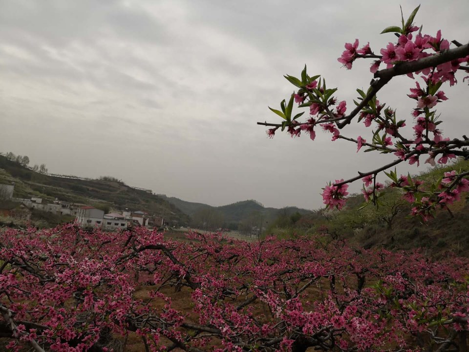 dVpYr-dGRMvovTKbrbkxM8t8Iq4rHGd1ugttZ2GYP8rzAVj22B6_HjZDRBj_RUAV