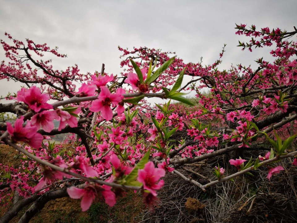 UNLxg-e-_rsSRdlrWCQXDoT8ePg8eXtGOb_bpeZjqVUXDkOLDCEW9Loy7u31hofs