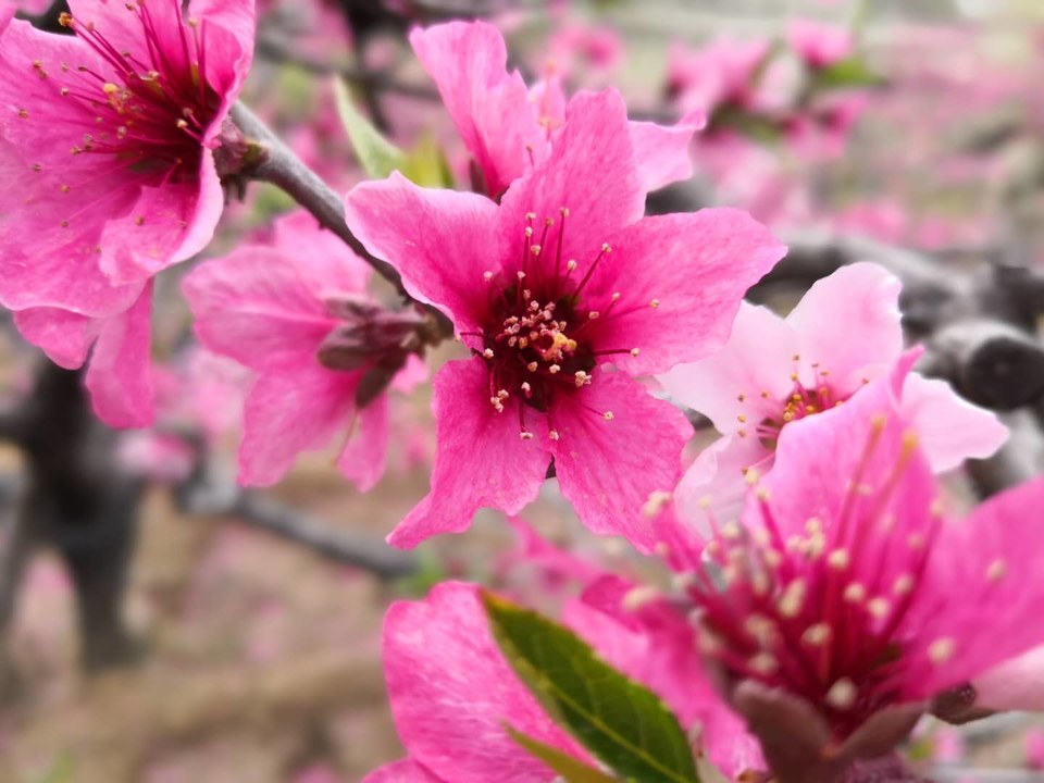 QIqZPJ8k0a95vMMlUge-ROsK0FJnr9HJCT5n6nNRwjsqMgevdHRA2wR-PT7CAEeE