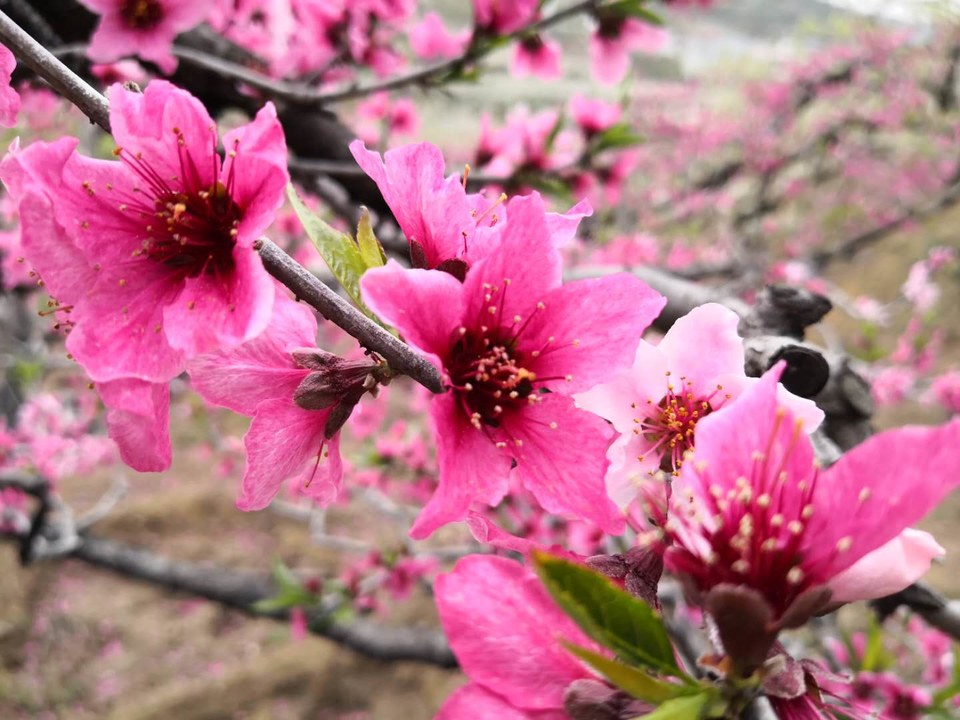 ywmC-WmpnpQuQmafuy_gSSR_jw5ZJIZ32AZfr8Ro0-zyToMFWsHXEiCws05osYkA