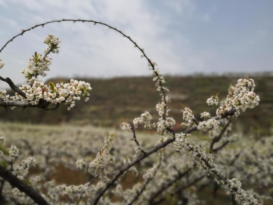 Ww_sBUv4aOg2x7p6tdWFenZKS5wrVBV2Yl9jvDWpKBkhMC4ILTUeboOb49Lcig_7