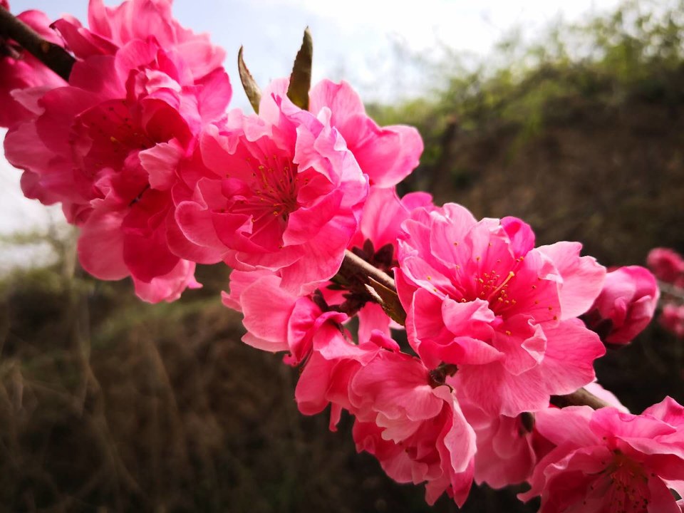 J846N1IxMDApPb-C91UBsSRgCbqubHJ03GNEQRBC2swFiUdHypKtSPzVjC-B-aLI