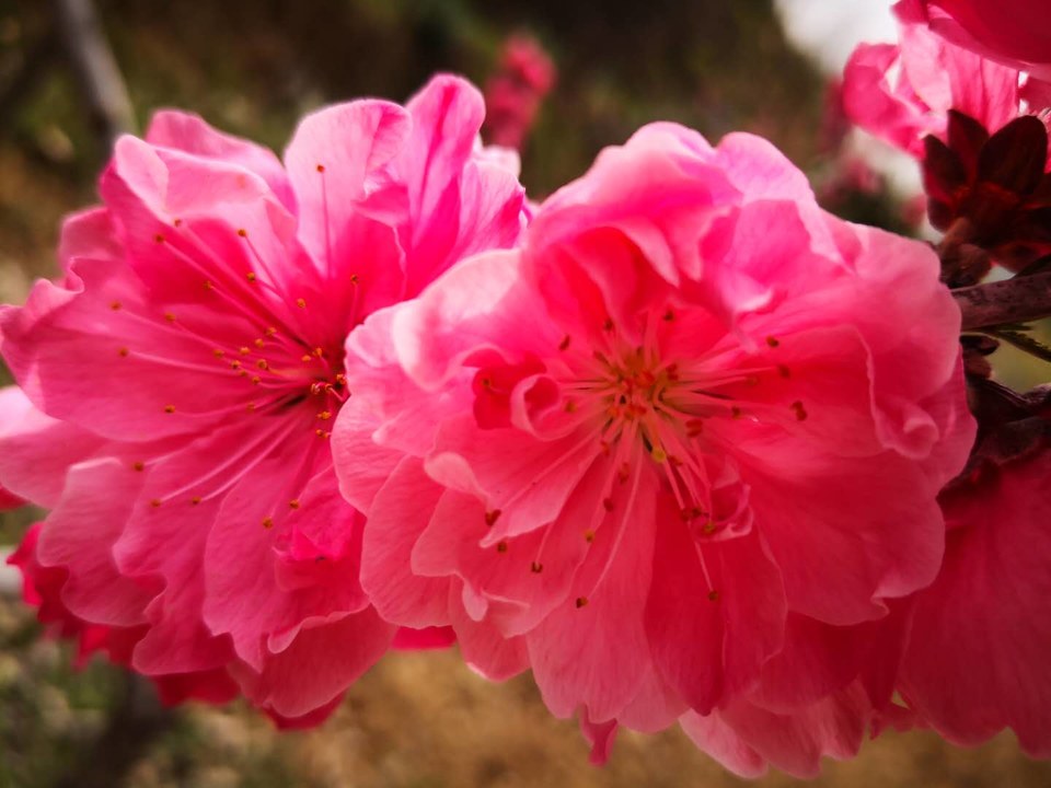 lMMVxBinxMgREJBCCboGcXmHiNDxXXMboo24FCAGIipo2AZIBDStEVlqdY0qj5R6