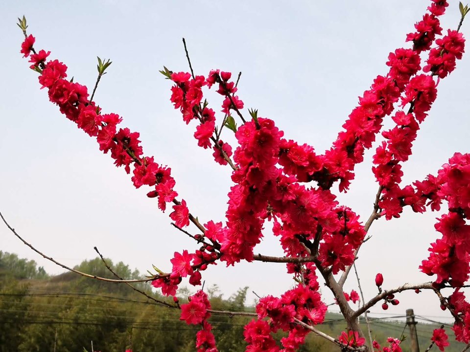 6mkNSLTD6uQhkAHs8lWW1s-oSPG1aNn9SKxypw3ac2z685L-0_Jd7IkKaTqYB60K