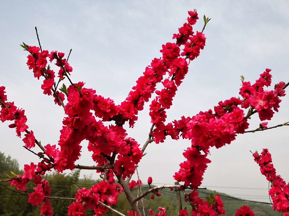 cKrC-DNLWy3MkSrp4WFGQczhZbYROIIB2b4iO2qUEDI89o95vVpozLlay52tZGmj