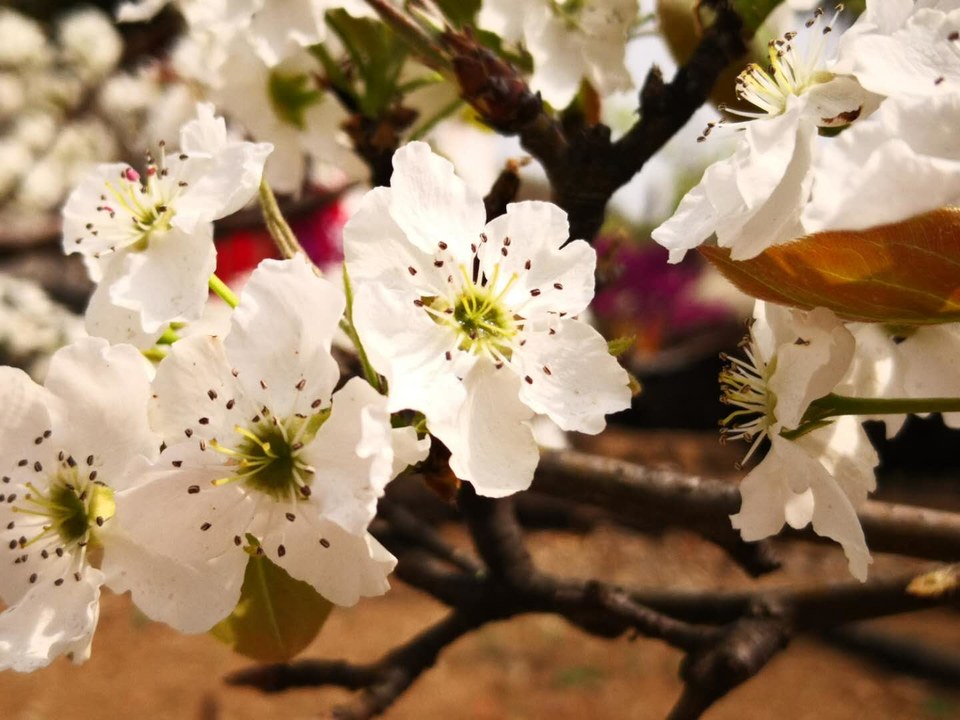 tvISOfIIUdG4Z4VPJWJKJdaI8ULT1heHzxGGEbyyYTl6k9ktvuoQilWoLA27UTfY