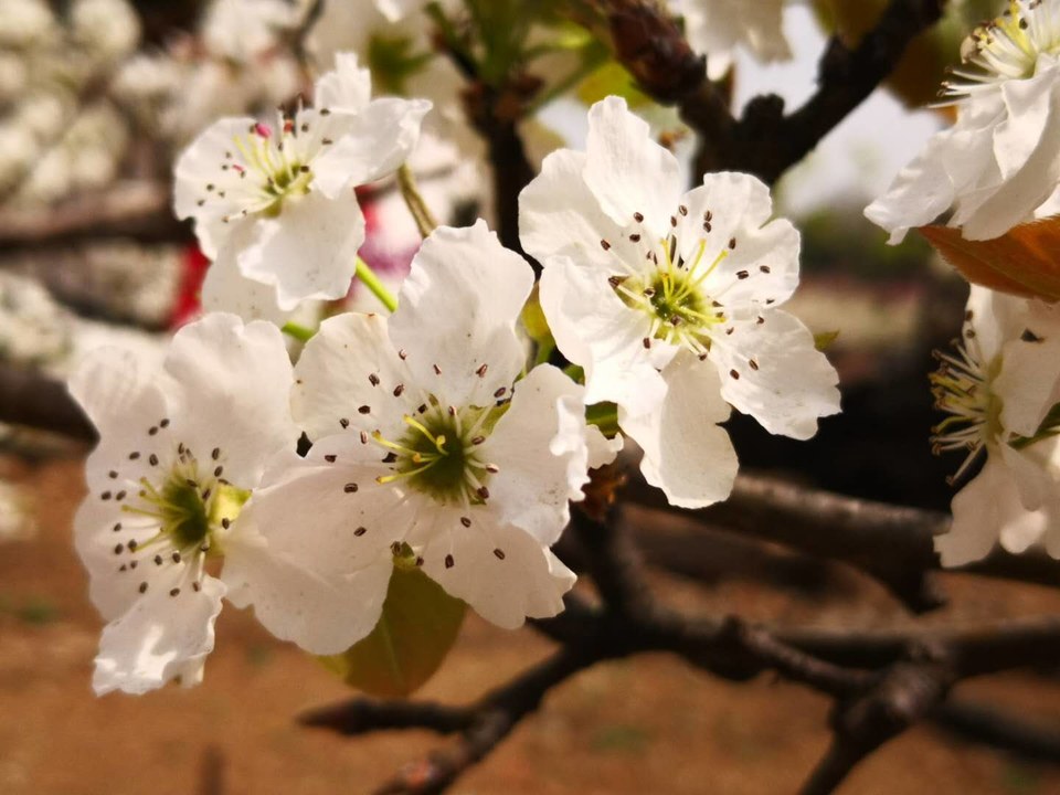 wgxyE3OBHbW7bY8pcil5p616WiGyQeiSMMEXF_HKFHpoeqa4eEzCylS7pOXEZNi6