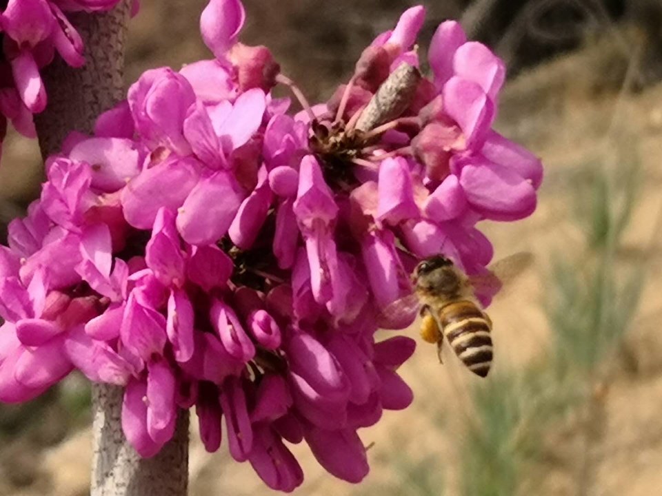 DMJQSqtDPQkWg6Mp97dNNDgA_4zKDDlnv4l7gnazcYZhEXSa7ORcLFS4meb25DGI