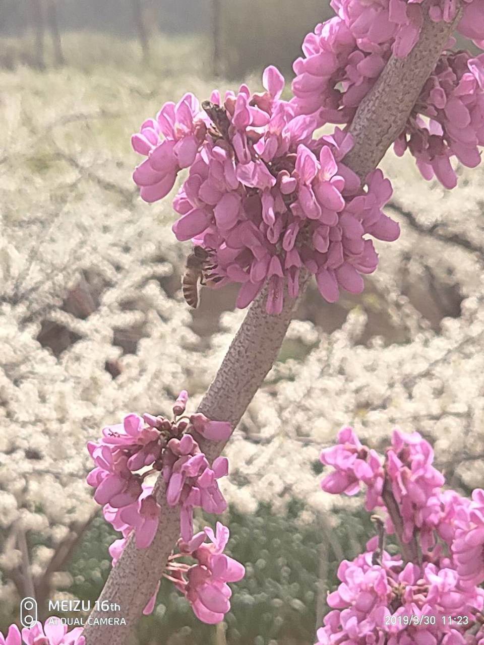 GKgonDGeg8B-JONCzdmYroOoya1kdRbw2W3_LcOuCHoFoQK0RWoY4R6xf2Nf1z3p