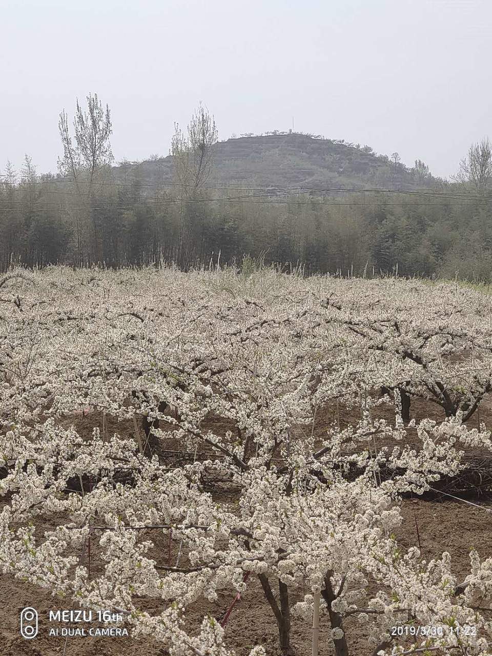 3EAYT3Y2ZXQ3_sPn6jw-1LQQFtvBB4nSEy0CTEOrWl6GWstWCbGysLrrV_aM0oI5