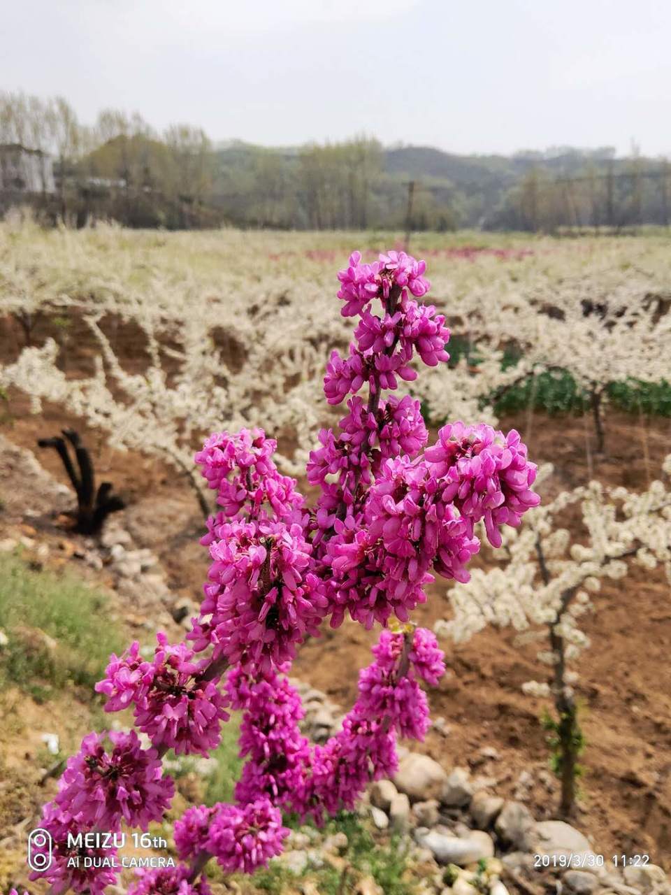 BMA3odSBv0KBN1SIjo9o4mJlbqMnikSrigch0qWMH2bhEFduksTnk1JBqnGqDCD7