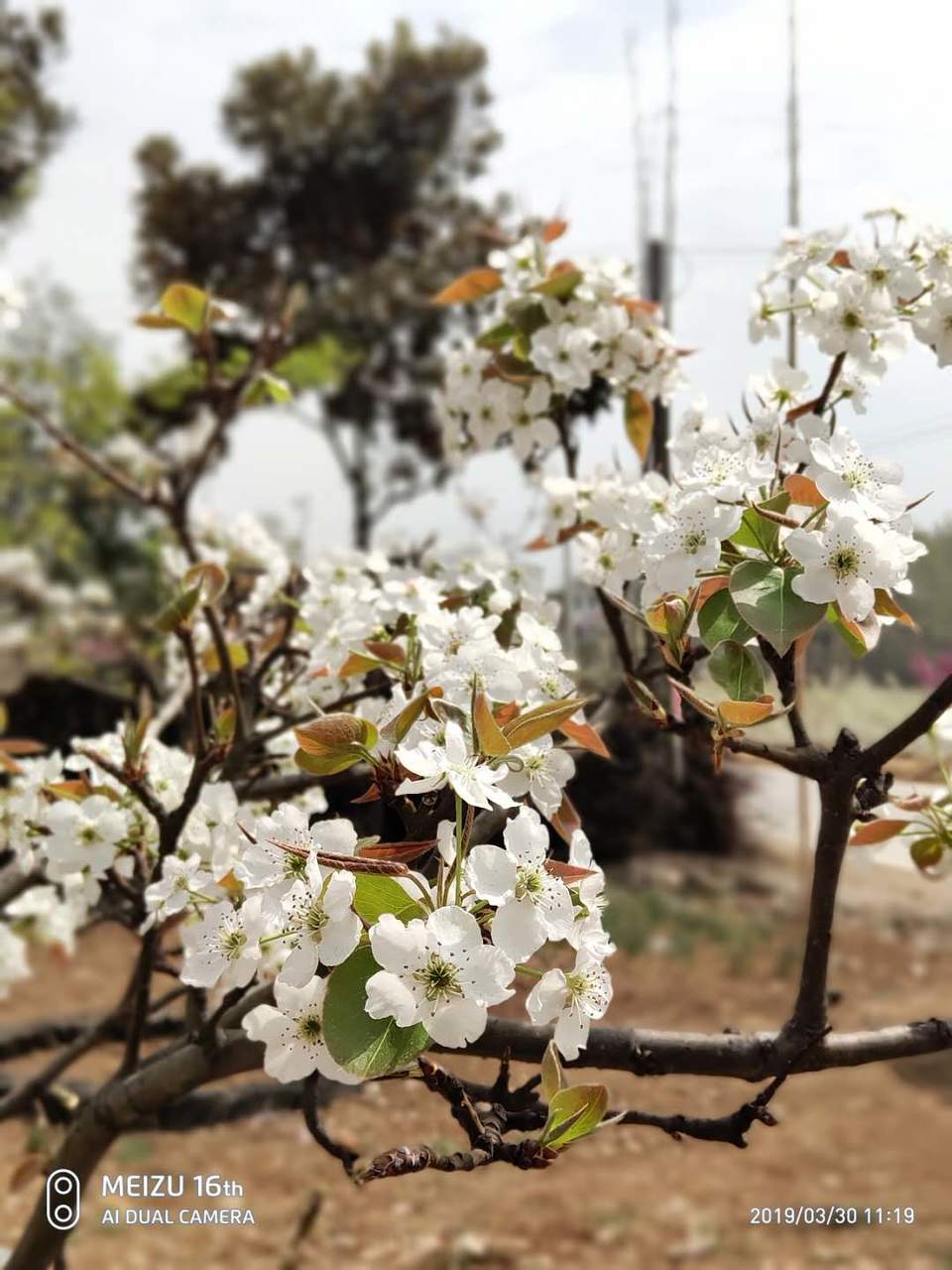 viW1Ln15Pwj1Ibnp8M8UaKiRATN8e9HUrdoOLjUAfNzNKr2QczJ6qpQHNTbWUzot