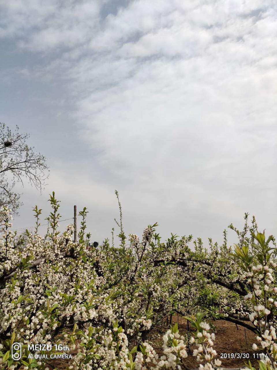 N-ckRF9lW5DJZHdrNjndTQ4XGQmUqbkj4r4fK1qLteZixcLkxBnTYT18Q2gWXWiX