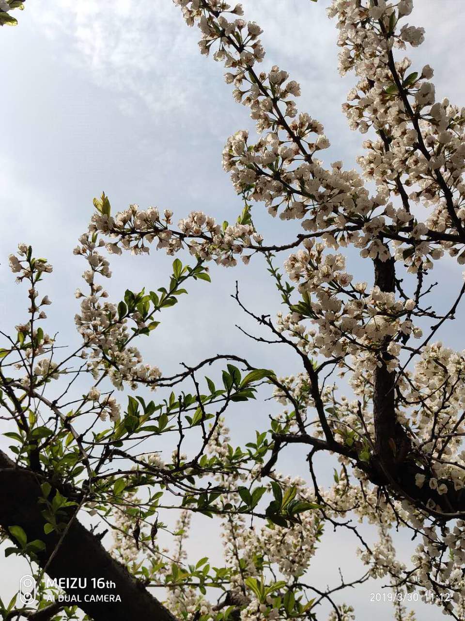 UcqOp9hvRv1Wa8sH1AUMc0MeFd_lAPlmPzq6N8o_bjbdACvjQ798XsZPQZIbczbO