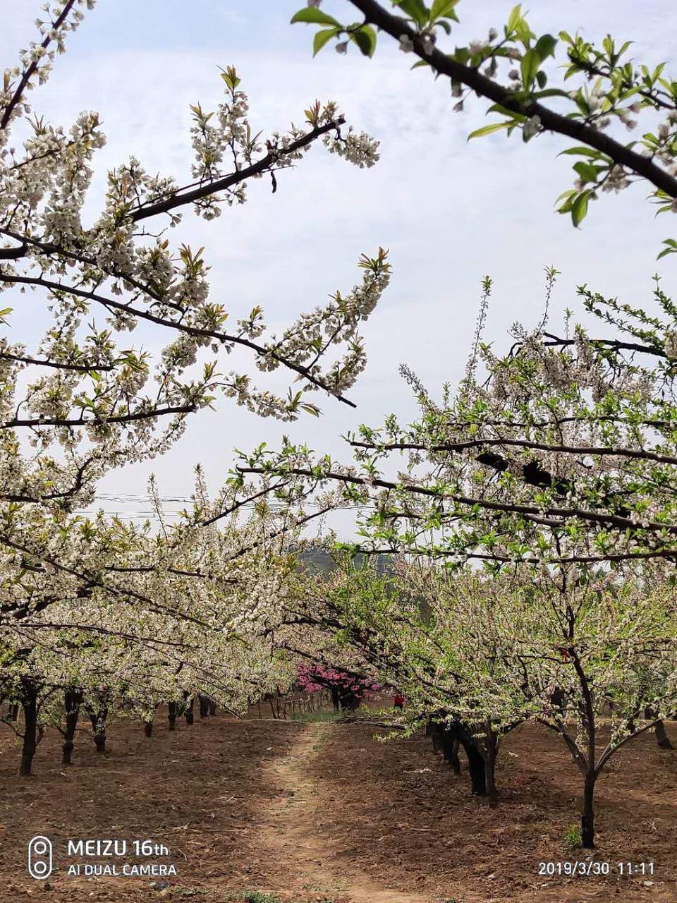 oXoQH5_4iJCq8QM8NmhwRv6AKqZm00Ic39Vi8HUvu080HnnKzJvXUTT16ySjSKf0